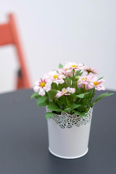 O Requinte da StudentHall